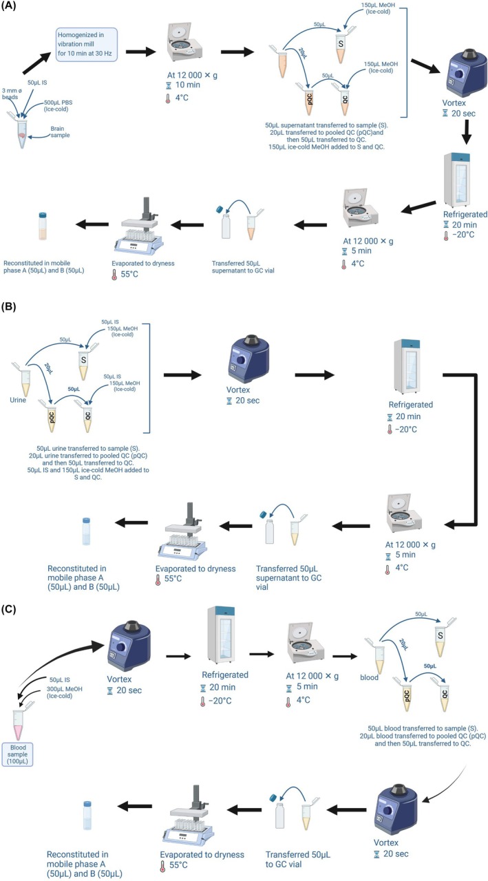 Procedure for sample preparation: (A) brain, (B) urine, (C) blood (Figure created with Biorender.com).