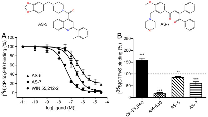 (A) Radioligand displacement curves for two screened compounds with the lowest Ki values toward human CB2—AS-5 and AS-7. WIN 55,212-2 was issued as the reference compound. Both identified CB2 ligands exhibit desired nanomolar Ki and structural distinctiveness compared to the other known compounds with high affinity for CB2. (B) Inhibition of CP-55,940-stimulated [35S]GTPγS at the CB2 receptor by the compounds at 10 μM. Results were expressed as mean percent of basal [35S]GTPγS binding in the presence of 100 nM CP-55,940 as stimulating ligand. AM-630 served as a reference CB2 antagonist. Basal binding was set to 100% and is represented by the dotted line. Data was collected from three separate experiments and analyzed with the two-tailed t test. Statistical significance was depicted as follows: **p < 0.01; ***p < 0.001.