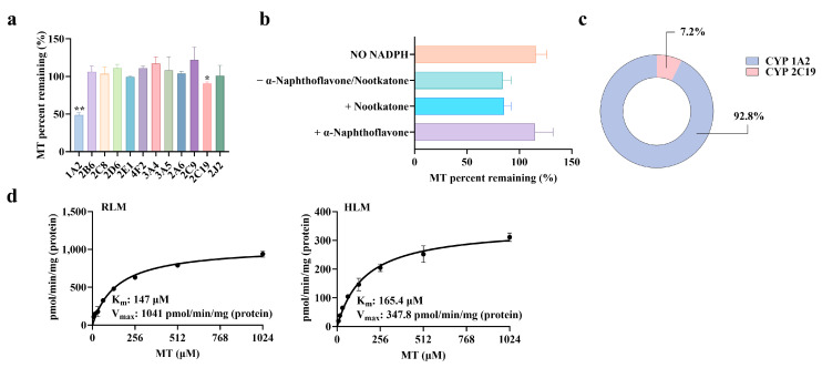 Characteristics of MT Metabolism Mediated by CYP Enzymes. (a) Metabolic phenotype of MT (recombinant enzyme method) (x¯ ± s, n = 3). (b) Metabolic phenotype of MT (inhibitor method) (x¯ ± s, n = 3). (c) Metabolic contribution fraction of CYP isoenzyme to MT. (d) Enzymatic kinetics of MT 6-hydroxylation reaction (x¯ ± s, n = 3). (*: p < 0.05, there was a statistical difference, **: p < 0.01, there was a significant statistical difference, compared with the 0-hour time point).