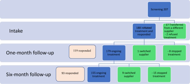 The study population in the three follow-up periods, at intake, after one month and after six months of medical cannabis treatment.