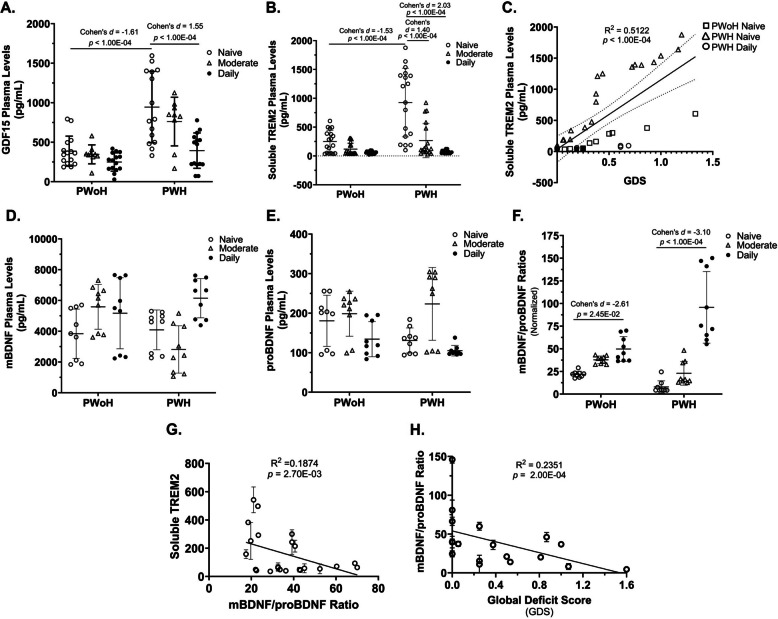 Cannabis use by PWH was associated with lower plasma levels of growth differentiation factor 15, soluble triggering receptor expressed on myeloid cells 2, and increased mature BDNF/precursor BDNF ratios that correlated with better cognition. A Quantification of GDF15 plasma levels via ELISA (Intra-assay CV = 5.6%, LLOQ: 1.0 pg/mL). B Quantification of sTREM2 plasma levels via ELISA (Intra-assay 1 CV = 4.6%, Intra-assay 2 CV = 5.7%, Inter-assay CV = 5.2%, LLOQ: 0.7 pg/mL). C Correlation of plasma sTREM2 levels with Global Deficit Score (GDS). D–F Quantification of mBDNF (Intra-assay CV = 5.3%, LLOQ: 200 pg/mL) and proBDNF (Intra-assay CV = 8.6%, LLOQ: 30 pg/mL) plasma levels via ELISA and calculation of the mBDNF/proBDNF ratios. G Correlation of mBDNF/proBDNF ratios with sTREM2 levels. H Correlation of mBDNF/proBDNF ratios with GDS. mBDNF: mature BDNF; proBDNF: precursor BDNF; GDF15: Growth Differentiation Factor 15; TREM2: Triggering Receptor Expressed on Myeloid Cells 2; LLOQ: Lower Limit of Quantitation. Statistics: (A-E, G-I) Two-way ANOVA with Tukey’s Multiple Comparisons Test. Simple Linear Regression Analysis. Confidence intervals and effect sizes: GDF15 PWoH Naïve/Low vs PWH Naïve/Low: 95% CI [−974.09, −379.3], d = −1.61 and effect-size r = −0.63; GDF15 PWH Naïve/Low vs PWH Daily: 95% CI [572.39, 1138.76], d = 1.55 and effect-size r = 0.61; sTREM2 PWoH Naïve/Low vs PWH Naïve/Low: 95% CI [−790.59, −325.05], d = −1.53 and effect-size r = −0.61; sTREM2 PWH Naïve/Low vs PWH Daily: 95% CI [311.79, 790.6], d = 2.03 and effect-size r = 0.71; mBDNF/proBDNF Ratios PWoH Naïve/Low vs PWoH Daily: 95% CI [10.39, 17.59], d = 2.61 and effect-size r = 0.80; mBDNF/proBDNF Ratios PWH Naïve/Low vs PWH Daily: 95% CI [−106.9, −68.77], d = −3.10 and effect-size r = −0.84; (A) n = 3 donors with 3 biological replicates per group; (B) n = 6 donors with 3 biological replicates per group; (C) n = 6 donors with 3 biological replicates per group; (D – F) n = 3 donors with 3 biological replicates per group; (G) n = 3 donors with 3 biological replicates per group; (H) n = 3 donors with 3 biological replicates per group, the mBDNF/proBDNF ratio was plotted with each donor’s GDS score