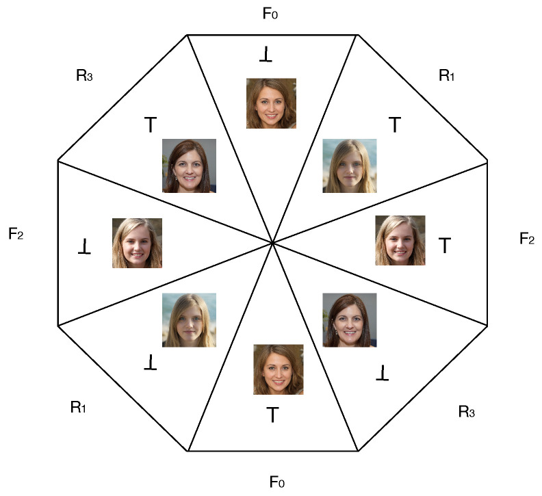 Schematic representation of a generalized coin n=4 used in the experiment, where each of the four facets of the coin is a real or fake face (instead of a color). There are four measurement contexts within which two faces are simultaneously judged, one real and one fake: {F0,R1},{R1,F2},{F2,R3},{R3,F0}. When tossed, two measurement outcomes can be observed per flip, where a measurement outcome is a judgement whether a face is fake (⊤) or not (⊥).