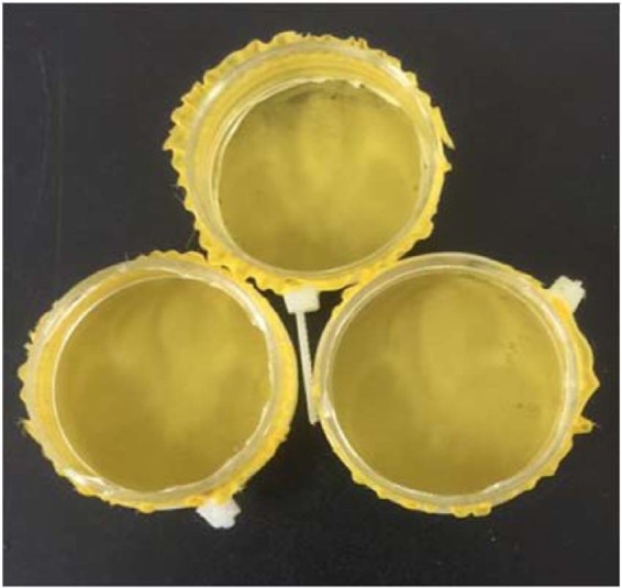 Containers utilized for contact bioassay.