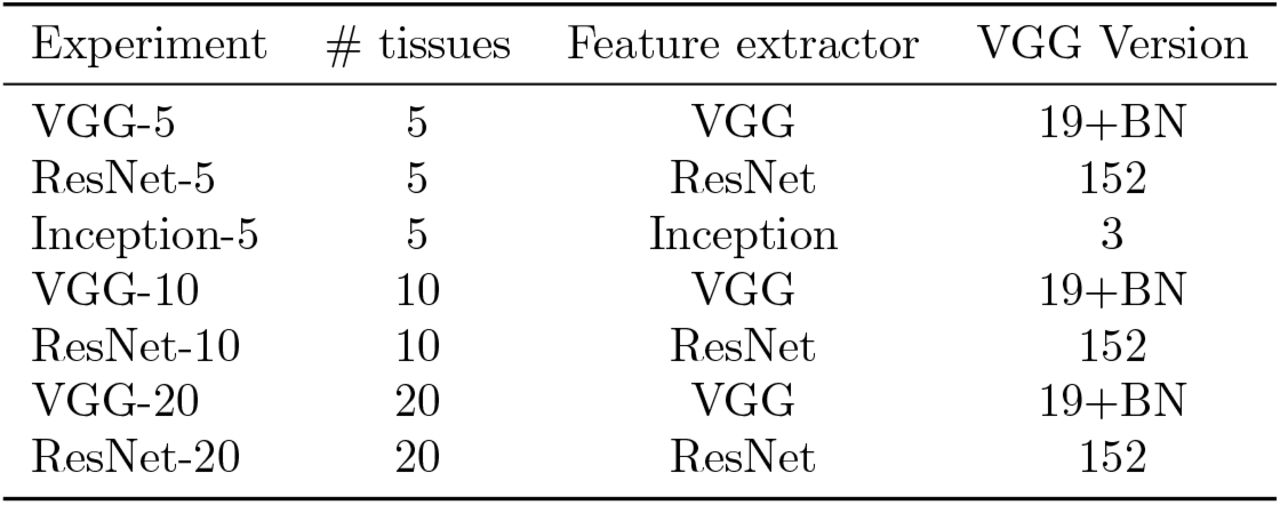 Summary of experiments with the backbone models.