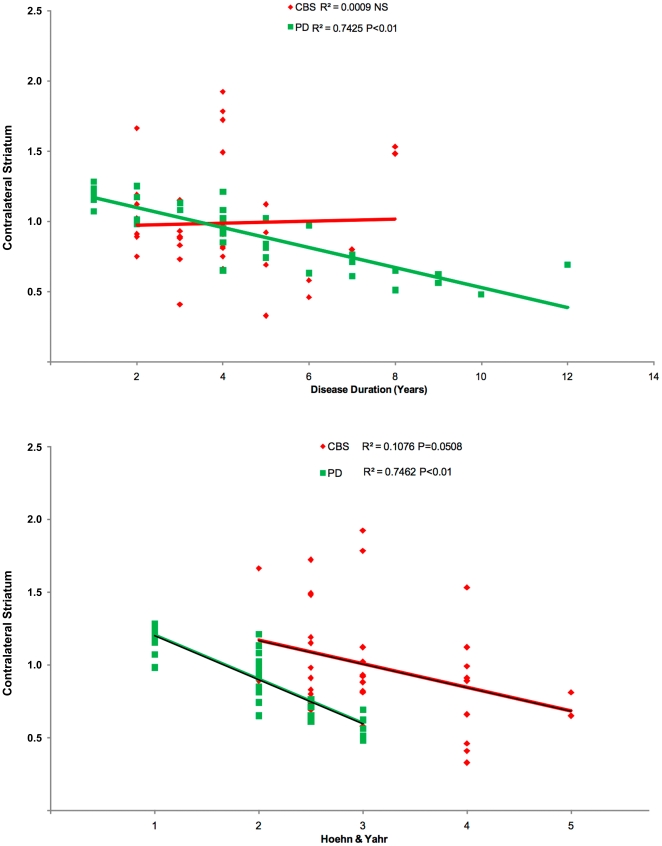 Correlation of FP-CIT binding in the contralateral striatum.Shown with the disease duration (A), and disease severity, according to the H&Y stage (B), in CBS patients and in PD controls.
