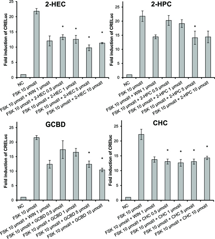 CB2-receptor-mediated agonistic effects given as fold induction of CRE-luc; CB, cannabinoid; NC, negative control; FSK, forskolin; WIN, WIN 55212-2; error bars represent SEM, *p < 0.1.