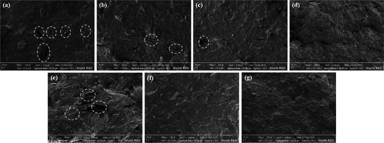 SEM images of (a) nonpretreated (wH20-PP), (b) alkaline-pretreated (wH20-PP-A), (c) MA-g-PP additive (wH20-PP-MA), and (d) silane-pretreated (wH20-PP-S); (e) nonpretreated (wH20-PLA), (f) alkaline-pretreated (wH20-PLA-A), and (g) silane-pretreated (wH20-PLA-S) samples.
