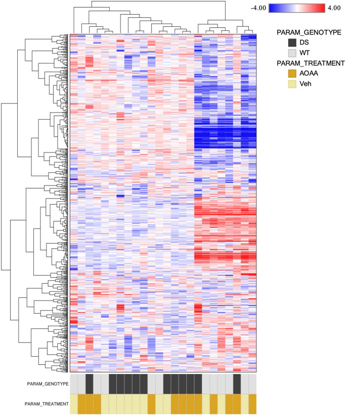 Hierarchical clustering of the brain samples from the 4 groups (wild-type mice, wild-type mice treated with AOAA, and DS mice treated with AOAA, n = 6 each) is shown (Euclidean distance, complete correlation)