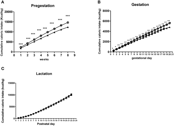 Effect of diet on caloric intake of dams during perinatal period. Values are expressed as mean ± SEM. *p < 0.05, **p < 0.01, ***p < 0.001. Cumulative caloric intake (kcal/kg) of control (solid triangles) and free-choice (open circles) dams during pregestation (A), gestation (B), and lactation (C).