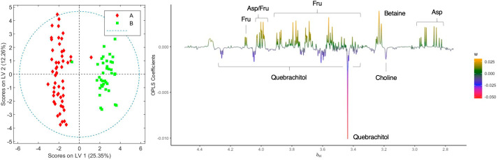 Score and loading factor plots obtained from the OPLS-DA between aqueous extracts of chemovars A and B. The metabolites that differentiate the two groups are annotated in the loading factor plots. The R2Y and Q2Y coefficients for the model were 0.91 and 0.83, respectively, and the ROC curve had an AUC value of 0.98 (see Figures S9 , S10 ).