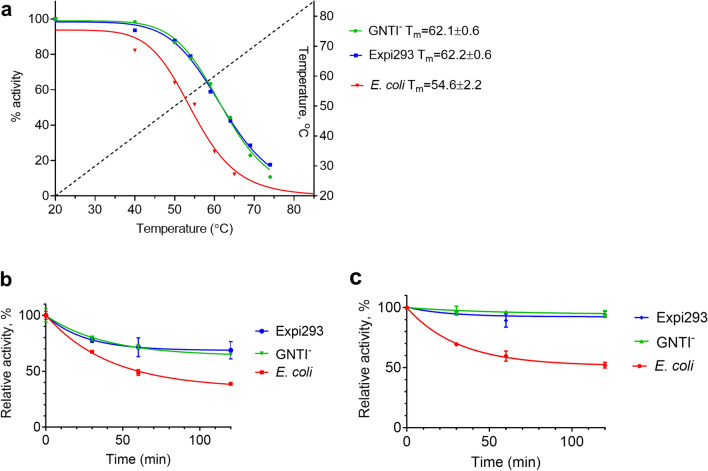 Thermostability of CB2 in membranes from different cell lines. (a) Temperature ramp 1 °C/min, temperature gradient shown by dotted line. 2 μg membrane protein per sample (b), membranes were incubated at 42 °C without ligand; (c) membranes were pre-treated with 5 μM CP-55,940, then incubated at 42 °C and aliquots withdrawn at time intervals indicated. Results of duplicate measurements determined by G protein activation test are presented.
