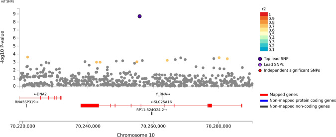 Association of stimulant dependence with SNPs located in the SLC25A16 region in the African American discovery sample.SNPs are color-coded according to the correlation coefficient (r2) in the 1000 Genomes African reference panel with the top-ranked SNP, rs2394476. Rs2394476 was genome-wide significant (P = 1.22 × 10−9) after meta-analysis with the replication sample.