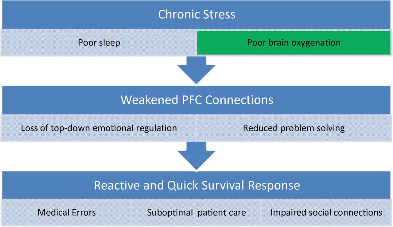 Proposed neurophysiological pathway linking burnout to impaired executive control and heightened emotional reactivity. Chronic stress and sleep deprivation reduce prefrontal cortex (PFC) oxygenation, weakening its regulatory control over primitive brain circuits (amygdala, striatum, brainstem). This shift favors rapid, emotionally driven responses over deliberate reasoning. Color codes, GREEN box is intervention target. The intervention focuses on improving PFC oxygenation, which may not only restore executive regulation but could also enhance sleep quality as a downstream benefit.
