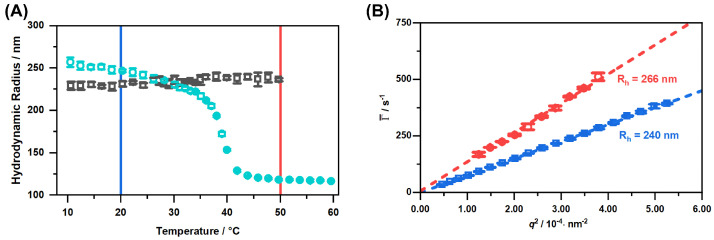 Hydrodynamic radius of the copolymer microgels obtained by temperature-dependent PCS measurements. The black squares represent the result of the measurements in EtOH and the blue circles the result from the measurements in water, given for comparison (A). Average relaxation rates Γ¯ plotted against q2 (B) measured with angle-dependent PCS in EtOH at the temperatures 20 ∘C (blue) and 50 ∘C (red). Dotted coloured lines are linear fits used to determine the translational diffusion coefficient.