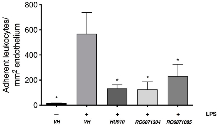A screen of novel selective CB2R agonists to determine the most efficacious ligand in reducing leukocyte-endothelial adhesion in the iridial microcirculation during EIU in BALB/c mice. The bar graph represents the mean number of adherent leukocytes 6 h after intravitreal injection of: Saline (control) + topical vehicle (Tocrisolve, n = 6); lipopolysaccharide (LPS) (250 ng) + topical vehicle (n = 6); LPS + topical HU910 (1.5% w/v; n = 6); LPS + topical RO6871304 (1.5% w/v; n = 6); or LPS + topical RO6871085 (1.5% w/v; n = 6). Data are presented as mean ± SD. One-way ANOVA with Tukey’s for multiple comparisons; * p < 0.05 compared to LPS + vehicle.
