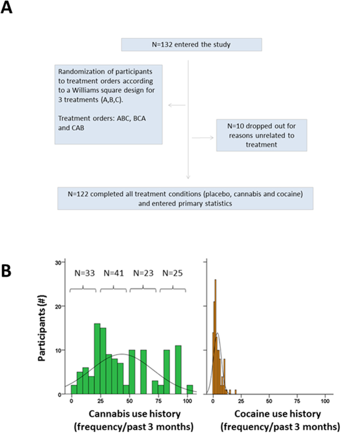 Randomization of participants (A) and frequency distribution of cannabis and cocaine use across study participants (N = 122) prior to study entrance and number of participants allocated to 4 cannabis use history groups (B).