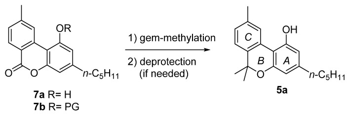 The structure of lactone intermediate 7a–b.