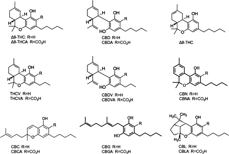 Chemical structures of the 17 cannabinoids targeted in the reported method