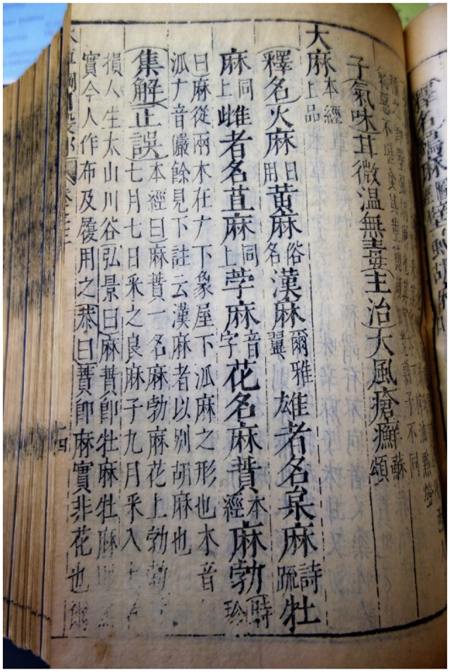 Entry on cannabis in the Compendium of Materia Medica.