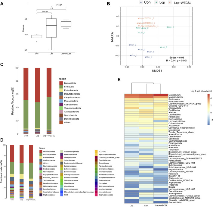 WECSL modulated gut microbiota structure in constipated mice (A) Alpha diversity determined using the Shannon index. (B) Beta diversity determined using the NMDS plot. (C,D) Changes in intestinal microbiota at the phylum level (C) and family level (D). (E) Heap map showing the top 50 microbial community.
