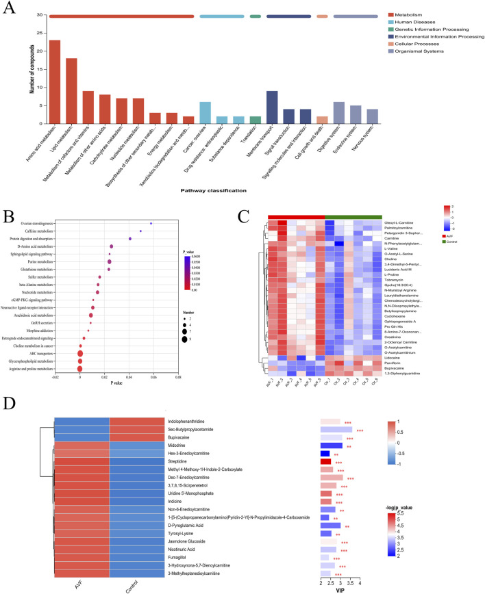 Bar chart, bubble chart, heat map, and clustered heat map displaying metabolic pathway analyses. A shows the number of compounds across various pathway classifications. B presents pathway enrichment with p-values and compound numbers. C is a heat map comparing compound levels in ANF and control groups. D features a clustered heat map and VIP scores for metabolites differentiating between ANF and control. Key indicates categories like metabolism and diseases.
