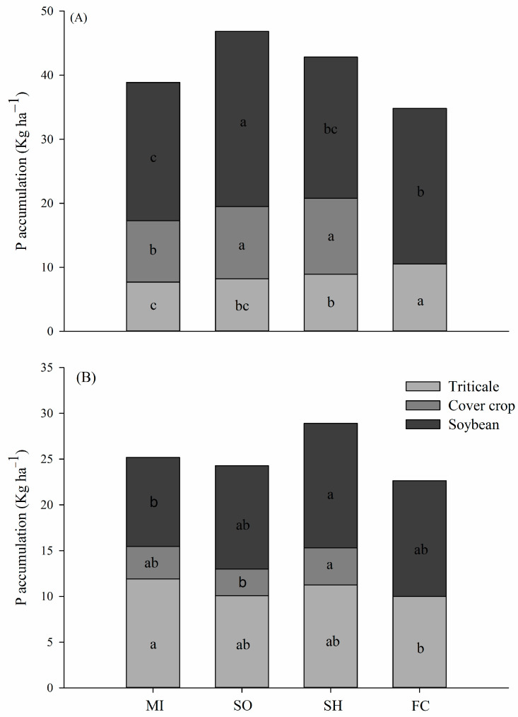 Phosphorus accumulation by soybean, triticale, and cover crops in first (A) and second (B) growing season. MI: millet; SO: sorghum; SH: sunn hemp; FC: fallow/chisel. Same letter denotes no significant difference between succession systems by LSD test at 5% significance level.