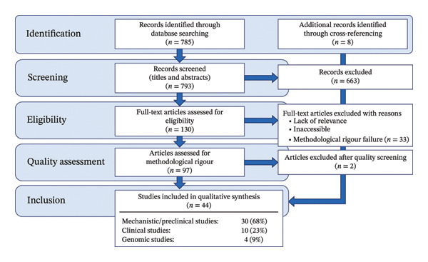 PRISMA flow diagram of the study selection process.