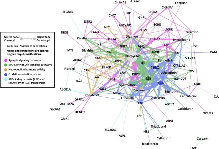 Network view of 621 insecticide and 53 cannabinoid CGPD-tetramers in the Comparative Toxicogenomics Database (CTD). CGPD-tetramers are sets of computational constructed information blocks that related a chemical-gene interaction with a phenotype and seizure as previously described (Davis, et al., 2020). Edges are colored by the biological functions of target genes. The size of nodes indicates the level of attention received by the chemicals and genes in the CTD curated literature.