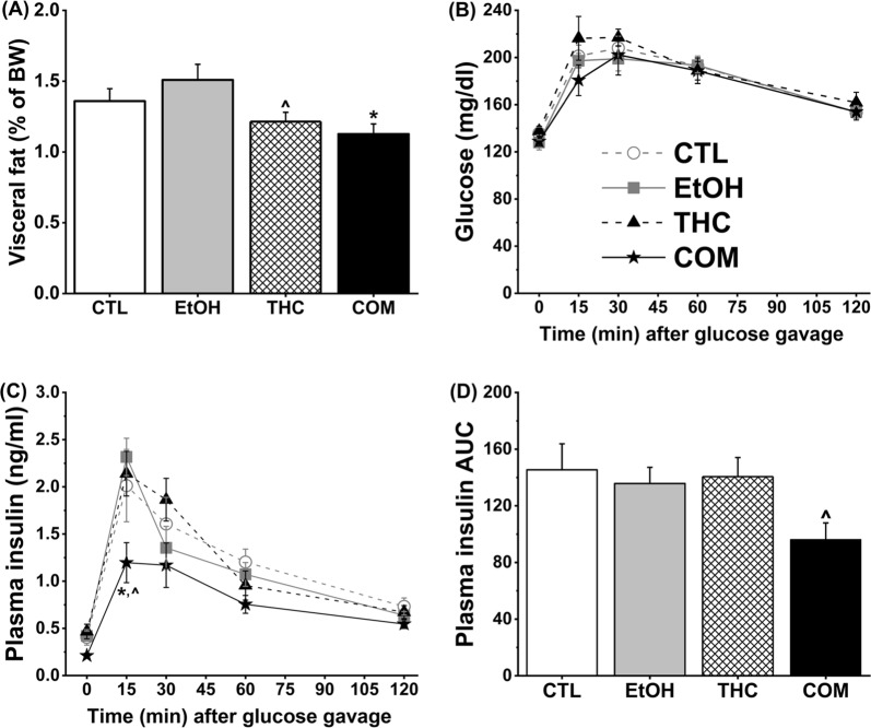 Chronic subcutaneous THC injections and voluntary alcohol consumption differently affected visceral fat composition and reduced insulin levels needed to clear glucose in Experiment 1 (CTL, n = 9; EtOH and THC, n = 7; COM, n = 8). (A) THC alone or in combination with alcohol reduced visceral fat composition. THC vs. EtOH: ^p < 0.1; COM vs. EtOH: *p < 0.009. The OGTT was conducted after nine days of abstinence. (B) Alcohol and THC alone or in combination had no effect on glucose clearance; and (C) combined chronic alcohol and THC exposure was associated with reduced plasma insulin levels at 15 min following the oral glucose load. COM vs. EtOH: *p < 0.009 and COM vs. THC: ^p < 0.07. (D) The COM group had a reduced AUC of plasma insulin curve compared with the CTLs (t-test: ^p < 0.05).