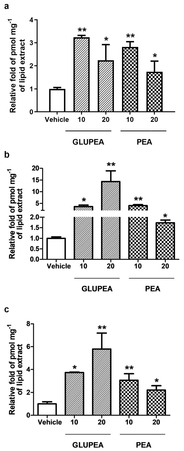 2-AG levels in HaCaT keratinocytes after GLUPEA treatment. 2-AG levels were measured in HaCaT keratinocytes treated for 40 min (a), 6 h (b), and 24 h (c) with GLUPEA (10–20 μM) or PEA (10–20 μM). Data are representative of n = 8 separate determinations (means + s.e.m.) and expressed as the relative fold of pmol mg−1 of lipid extract after normalizing for vehicle-treated cell values, considered as = 1. 2-AG levels measured in vehicle-treated cells were 8.32 ± 0.53 (a), 0.82 ± 0.06 (b), and 0.55 ± 0.10 (c). Statistical analyses were carried out using one-way ANOVA followed by the Newman–Keuls multiple comparison test (* p < 0.05, ** p < 0.01, versus vehicle).
