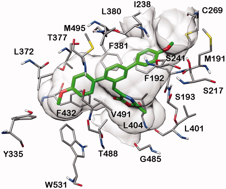 Minimised average structure of compound 20b docked into FAAH receptor.