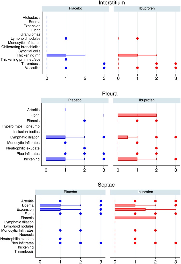 Comparison of histology findings between placebo and ibuprofen treated calves broken down by anatomical levels as follows: interstitium, septae, and pleura.These are scored 0 (absent), 1 (mild), 2 (moderate) 3 (severe). The median is indicated by a line and the interquartile range by the box. Whiskers encompass data 1.5 times the IQR of the upper and lower quartiles. Outlying data is indicated with points. Ibuprofen is in red, placebo in blue. EOS; eosinophils, Hyperpl; hyperplastic, MN; monocytes, PMN; neutrophils, Pneumo; pneumocytes.