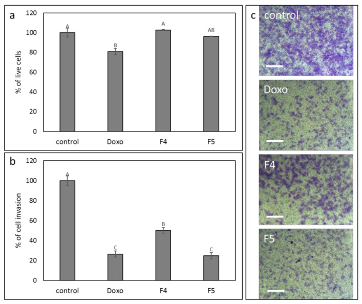 The effect of the F4 and F5 treatments on A172 cell invasion. The vertical movement of A172 cells across the 8 µm pore size membrane, following treatment with F4 (12 μg/mL) and F5 (10 µg/mL) for 24 h. Error bars indicate ± SE (n = 3). Levels with different letters are significantly different from all combinations of pairs according to the Tukey–Kramer honest significant difference (HSD; p ≤ 0.05). (a) Percentage of cell viability; (b) percentage of invading cell in comparison to control; (c) examples for images of cells that invaded the membrane at 24 h, following crystal violet staining. Scale bars = 500 µm. Doxorubicin (Doxo, 0.5 µg/mL) served as a positive control. Control is vehicle control (0.6% v/v methanol).