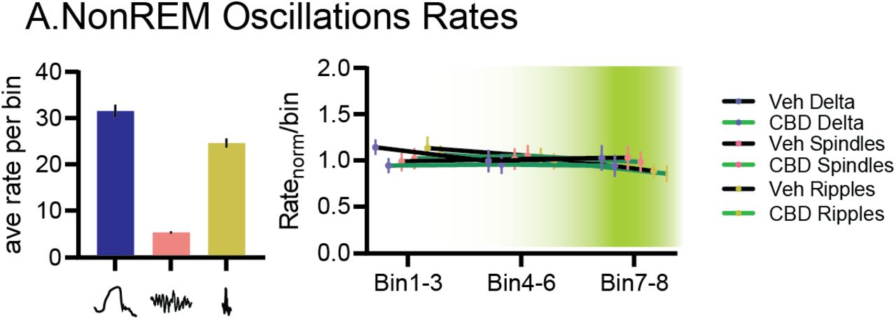 Rates of NonREM oscillations