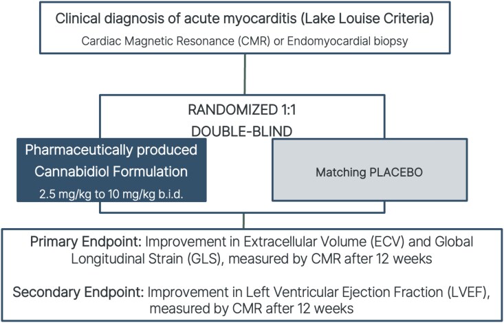 Study design. SE, standard error; Nr. available, number of patients for whom data were available; g, gram; mL, millilitre; %, percentage; P, P-value of the ANCOVA done at week 12 adjusted for baseline. (Adapted from McNamara et al.5)
