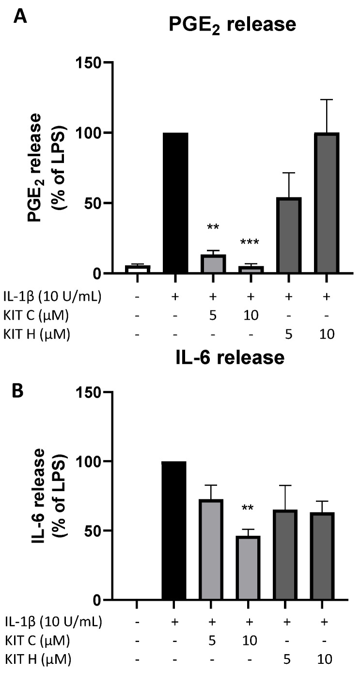 Effects of KIT C (light grey bars) and KIT H (dark grey bars) on PGE2- (A) and IL-6-synthesis (B) in LPS-stimulated primary mice microglia. Cells were stimulated as described under material and methods. After 24 h of stimulation, supernatants were collected and the release of PGE2 or IL-6 was measured by EIA/ELISA. Values are presented as the mean ± SEM of at least three independent experiments. Statistical analysis was performed using one-way ANOVA with Dunnett’s post hoc tests with ** p < 0.01 and *** p < 0.001 compared to LPS.