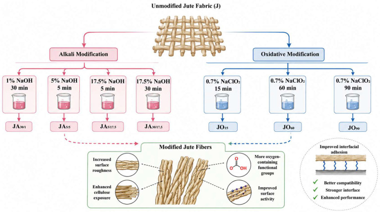 Scheme of jute fabric chemical modifications and sample codes. Alkali treatments with NaOH (1% for 30 min, 5% for 5 min, 5% and 17.5% for 30 min) produce samples JA30/1, JA5/5, JA5/17.5, JA30/17.5. Oxidative treatments with 0.7% NaClO2 for 15, 60, and 90 min yield JO15, JO60, and JO90. These modifications selectively remove hemicelluloses or lignin (recreated from reference [56]).