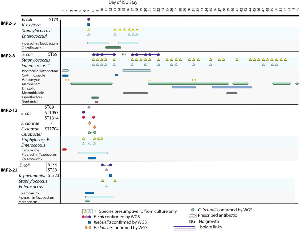 Colonising isolate timelines where E. coli colonisation was lost during inpatient stay. All species confirmed using WGS are displayed alongside species presumptively identified using culture plates only. Antibiotics prescribed during a patient stay is displayed below. Patients were in the ICU at differing times but for illustrative purposes the timeline is the inpatient stay day number. In cases where the same ST is present multiple times in the same patient they are shown as the same colour, but these colours cannot be compared between patients. Isolate links are demonstrated with a solid line. Where this ST is interrupted by another ST, a dashed line is used.