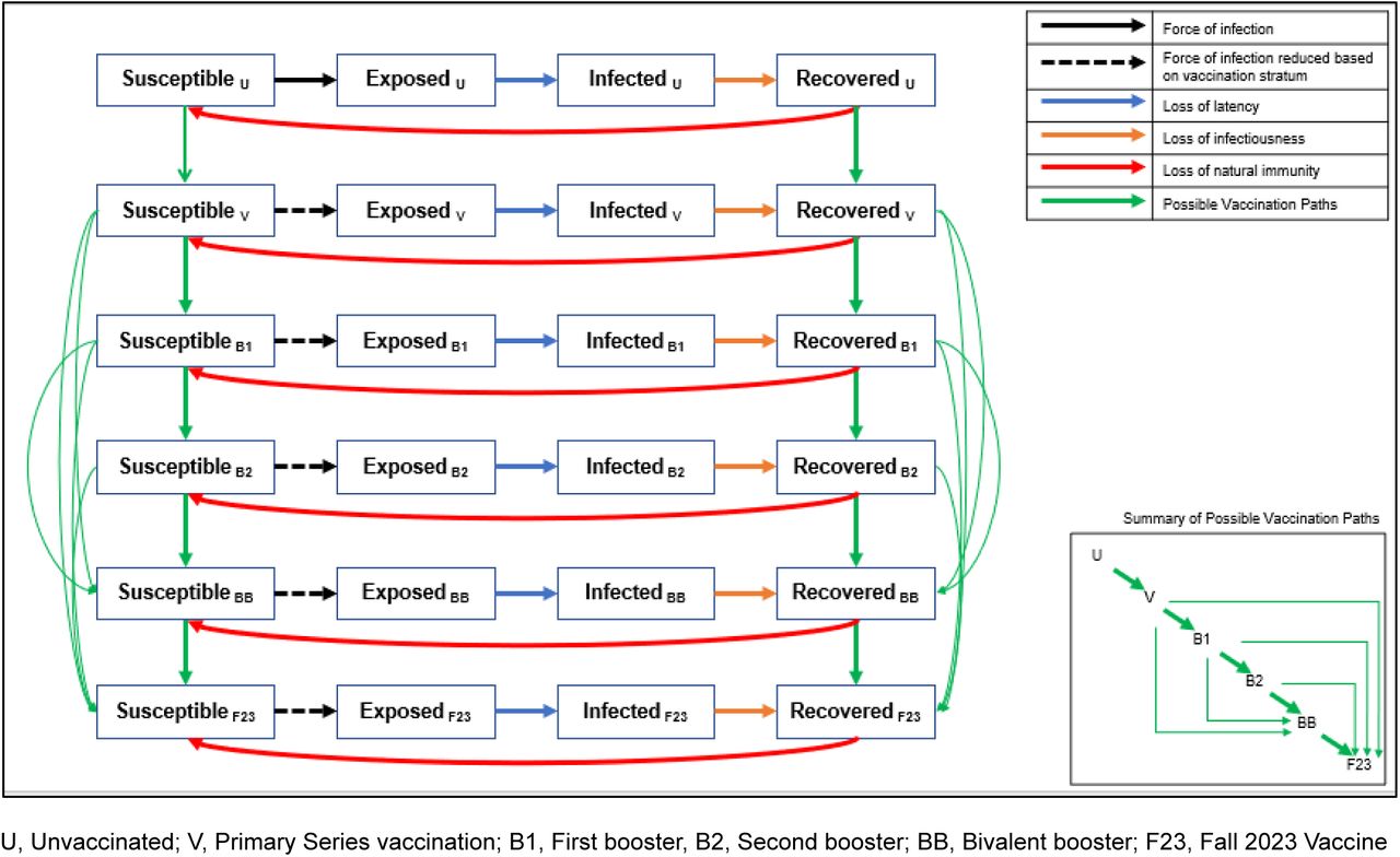Model structure: compartments in the SEIR dynamic model of COVID-19 infection.Black arrows represent the movement between the susceptible and exposed compartments which is driven by the force of infection. The dashed black arrows indicate that the force of infection is modified by vaccination compared to the same transition in the unvaccinated stratum. Each vaccine stratum is associated with a unique vaccine effectiveness estimate. The blue arrows represent the loss of latency which means the infection becomes transmissible. The green arrows represent the loss of infectiousness which means the infection is cleared and natural immunity develops. The red arrows represent the loss of natural immunity following infection and transition back to the susceptible state. Loss of latency, loss of infectiousness and loss of natural immunity is the same for all vaccine strata but can change over time. The green arrows represent the possible vaccination points. The inset box is a stylized version that shows the possible vaccination points more clearly. Please see the Technical Appendix for the mathematical equations driving each transition.
