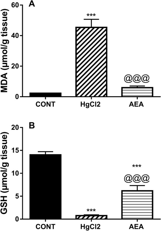 Effect of AEA on renal contents of (A) MDA and (B) GSH in HgCl2-induced AKI in rats. Data are expressed as the mean of 6 rats ± SD. ***P < 0.001 compared with CONT and @@@P < 0.001 compared with HgCl2 groups using one-way ANOVA followed by Tukey's Multiple Comparison post hoc test. AEA anandamide, AKI acute kidney injury, CONT control, GSH glutathione, HgCl2 mercuric chloride, MDA malondialdehyde.