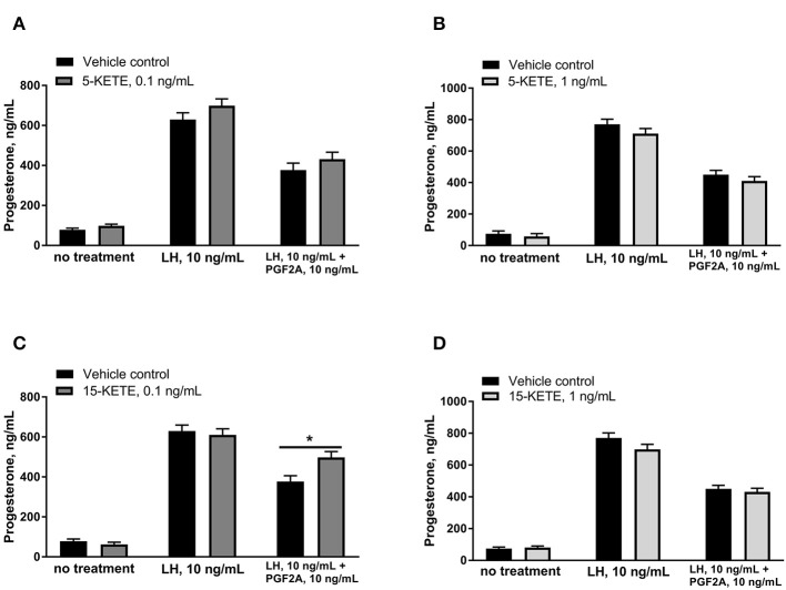 Effect of 0.1 ng/mL (A) and 1 ng/mL (B) 5-KETE and of 0.1 ng/mL (C) and 1 ng/mL (D) 15-KETE on progesterone production in cultured luteal cells on day 7 of culture. Significant differences (P < 0.05) between lipid-treated and vehicle control are denoted with a * (N = 4).