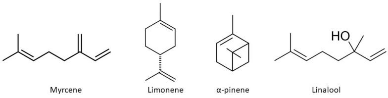 Chemical structures of chosen terpenes, myrcene, limonene, α-pinene, and linalool.
