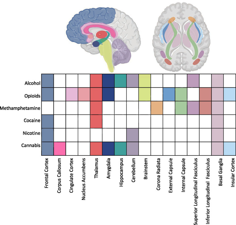 Illustration of a human brain with color-coded brain regions affected by different substances. A chart below correlates substances like alcohol, opioids, methamphetamine, cocaine, nicotine, and cannabis with specific brain areas, including the frontal cortex, nucleus accumbens, thalamus, amygdala, and others. Each substance shows varying impacts on these regions through colored squares.