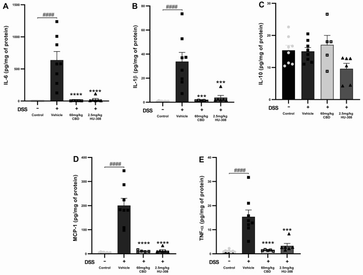 Effects of CBD and HU308 on inflammatory cytokine levels in DSS-induced colitis. (A) IL-6 levels. (B) IL-1β levels. (C) IL-10 levels. (D) MCP-1 levels. (E) TNF-α levels. Data are presented as mean ± SEM; statistical significance was determined using one-way ANOVA followed by Dunnett’s multiple comparisons test. *** p < 0.001, **** p < 0.0001 vs. vehicle DSS control; #### p < 0.0001 vs. healthy normal water control.