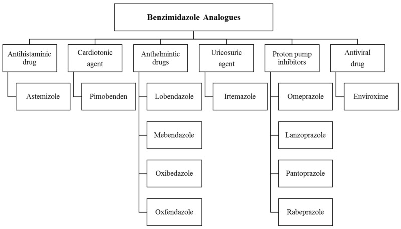 Clinically approved drugs with a benzimidazole nucleus.