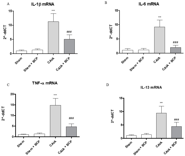 The graphs represent qPCR results of IL-1β (A), IL-6 (B), TNF-α (C), and IL-13 (D) mRNA expression from joints. Data are expressed as means ± SD. *** p < 0.0001 vs. Sham and Sham + BCP; ### p < 0.0001 vs. CAIA.