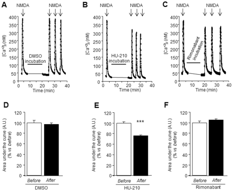 The stimulation of the endocannabinoid system reduces NMDA-stimulated calcium influx in ethanol-withdrawn neurons.(A, B, C) Representative recordings of single-cell calcium videomicroscopy for each experiment. A 30 sec exposure to NMDA (50 µM) produced a rapid calcium influx, which recovered over the following 2 min (before). (E) After the incubation (10 min) with the non-specific CB1 agonist HU-210 (1 µM), Ca2+ influx (induced by NMDA application) is significantly decreased in comparison to the stimulation before. Incubation (10 min) with DMSO (D) or rimonabant (1 µM) (F) does not modify NMDA-stimulated calcium influx. Values are expressed as % vs. before NMDA-stimulation ± SEM (N = 3–4; n (cell number) >60 cells). Data were analyzed by the t Student's test. (***P<0.001).