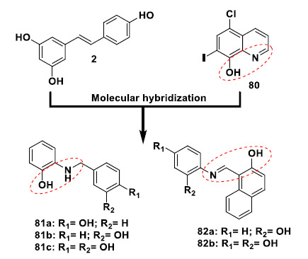 Molecular design of the hybrid azo-derivatives 81a-c and 82a-b with improved neuroprotective, selective Cu2+-chelating, and antioxidant properties.