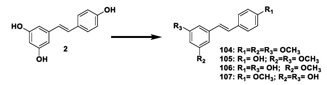 Chemical structures of methylated resveratrol derivatives 104-107.