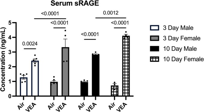 Serum sRAGE concentration (ng/mL) in the BALF supernatant was measured using ELISA. 3‐day and 10‐day VEA‐exposed males and females displayed significantly higher serum sRAGE levels compared to control groups. Additionally, 3‐day and 10‐day VEA‐exposed females presented with significantly higher sRAGE levels when compared to their male counterparts. Column height represents mean concentration ± standard error (SE). N = 6/treatment group. BALF, bronchoalveolar lavage fluid; sRAGE, soluble receptor of advanced glycation end products; VEA, vitamin E acetate.
